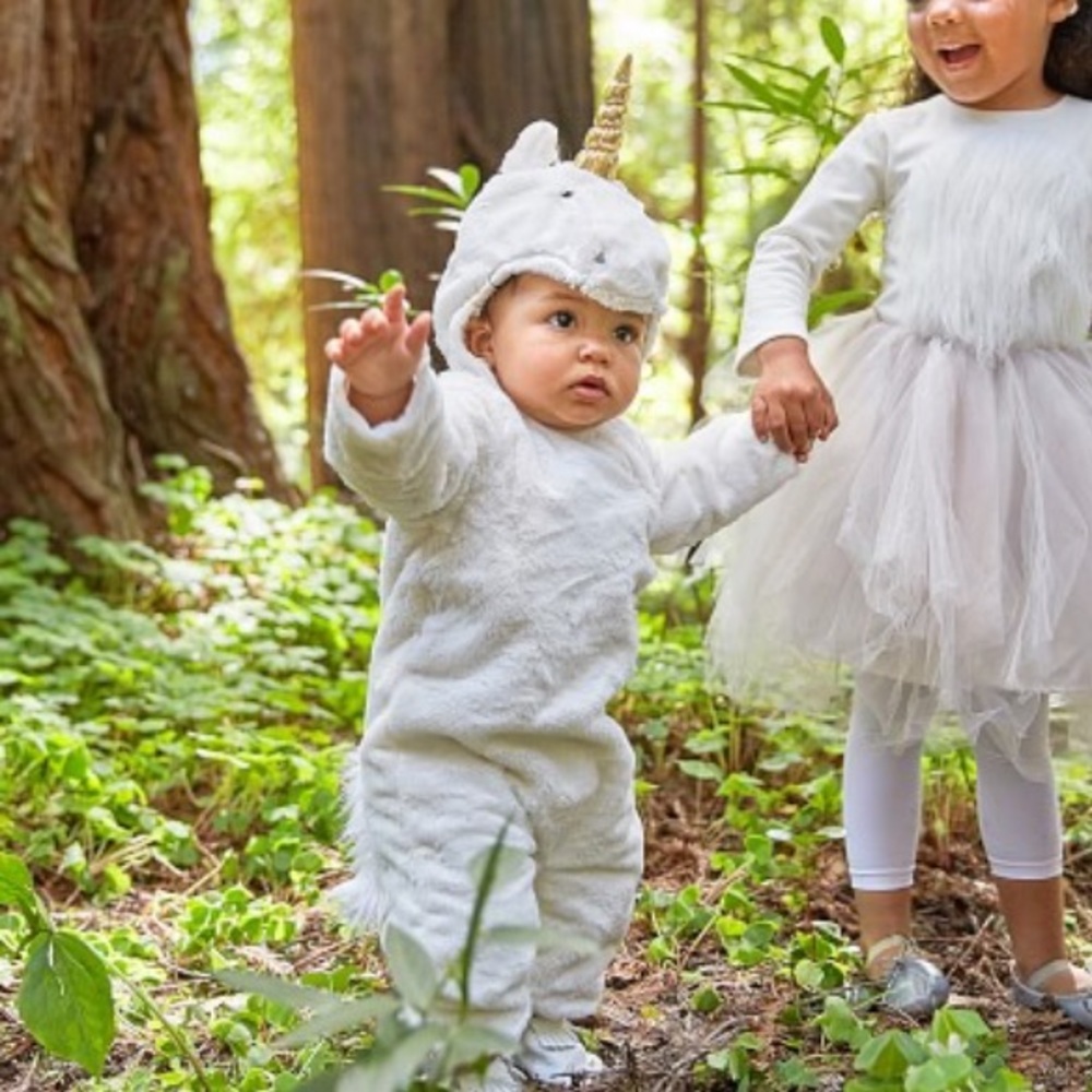 Unicorn costume - pottery barn kids - worn once!